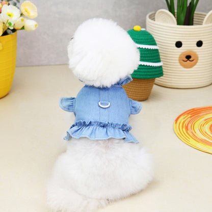 Small white dog wearing a blue dress with a green and yellow striped hat on a light surface.