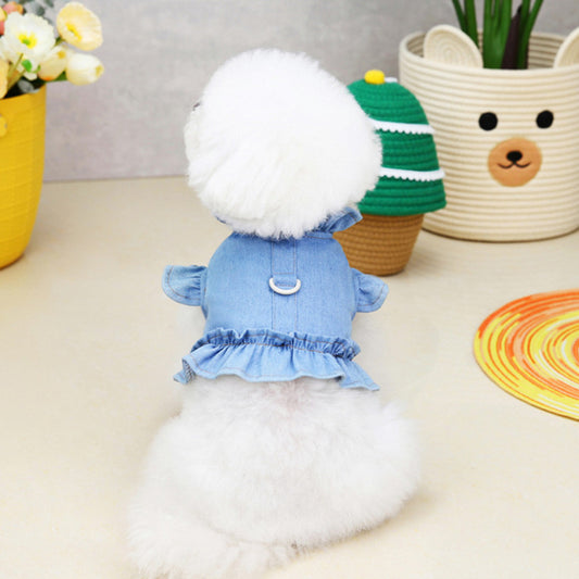 Small white dog wearing a blue dress with a green and yellow striped hat on a light surface.