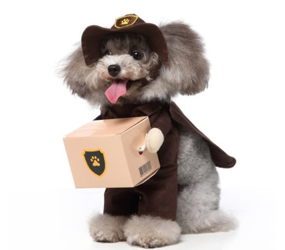 Dog in a costume holding a cardboard box with a paw print on a white background
