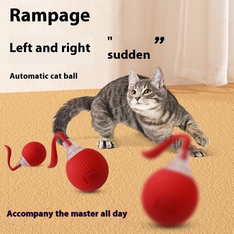 Cat playing with interactive self-rolling toy ball on carpet