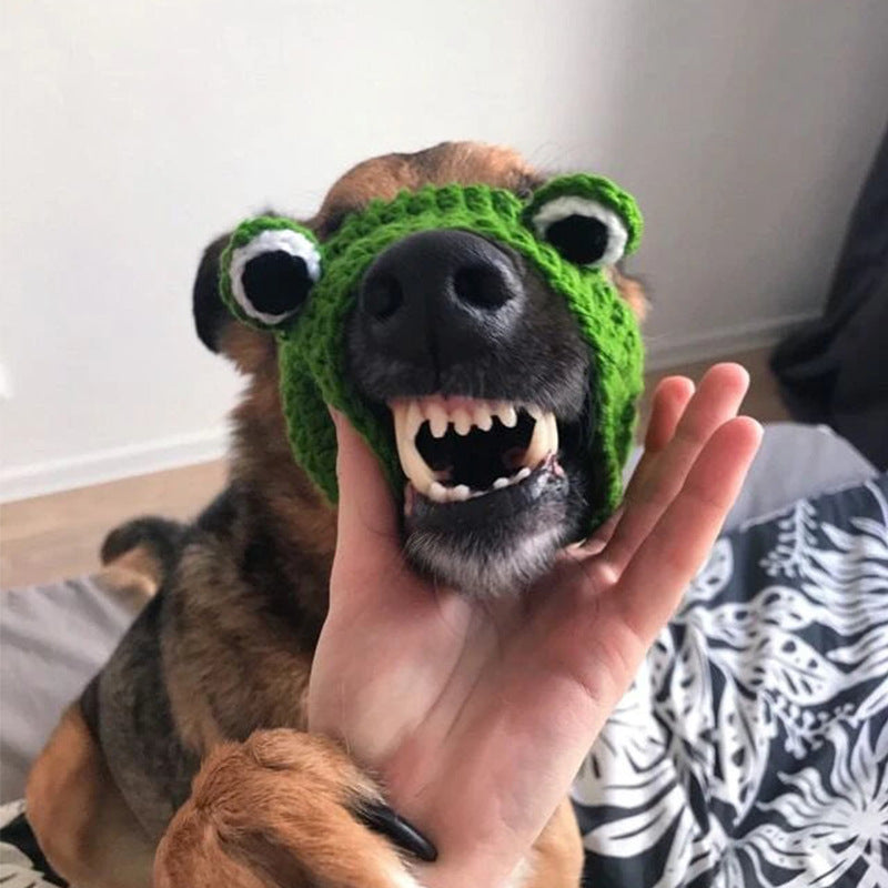 Cute white cat wearing a frog-themed wool headdress for pets