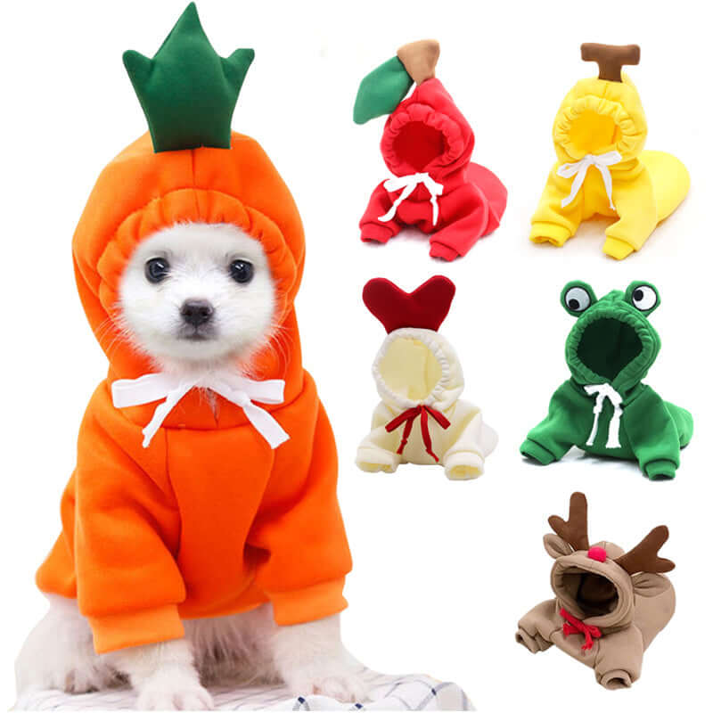 Dog in an orange carrot costume with other animal-themed costumes displayed.