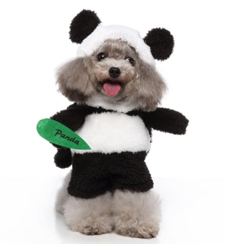 Dog wearing a panda costume with a 'Panda' sign on a white background