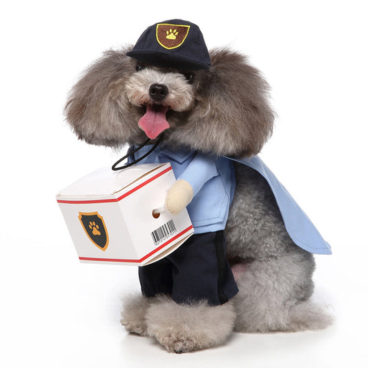 Dog wearing a costume with a blue cape, hat, and holding a package on a white background