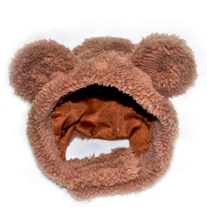 Close-up of cat wearing a soft brown bear cap