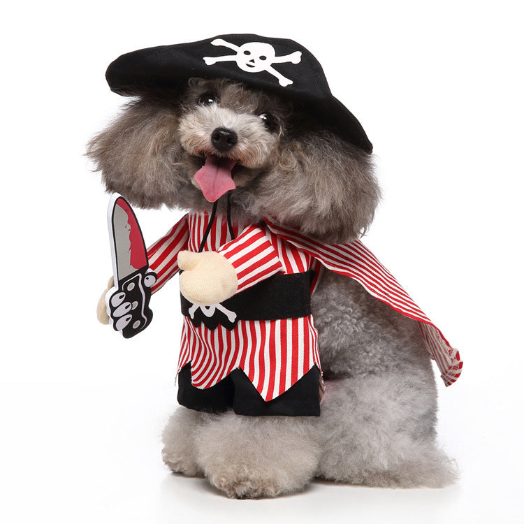 Dog wearing a pirate costume with a hat, shirt, and sword on a white background