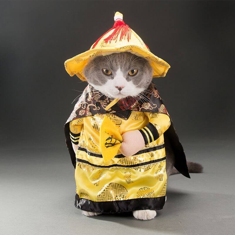 Cat wearing a traditional Chinese outfit with a yellow hat on a dark background