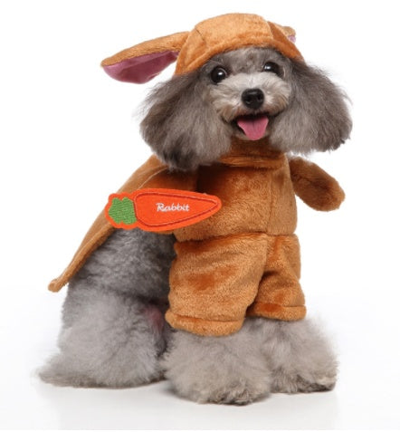 Dog wearing a brown rabbit costume with a white background