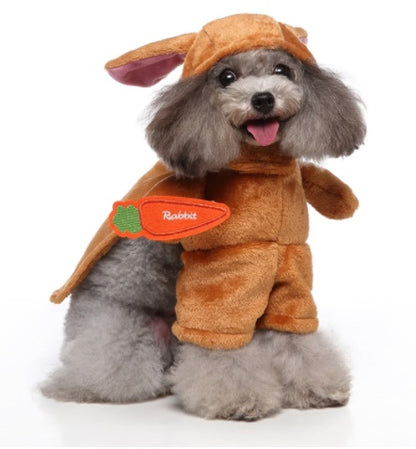 Dog wearing a brown rabbit costume with a white background