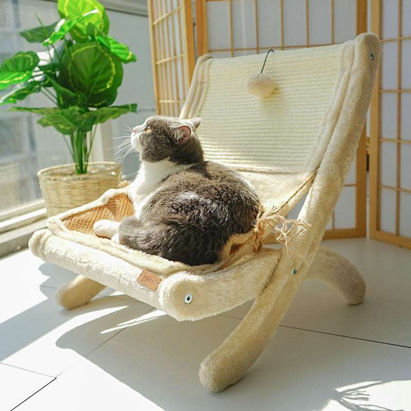 A grey and white cat basking in sunlight on a cozy, beige pet lounger by a window.