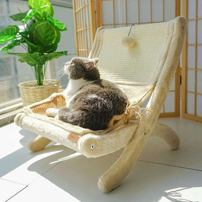 A grey and white cat basking in sunlight on a cozy, beige pet lounger by a window.
